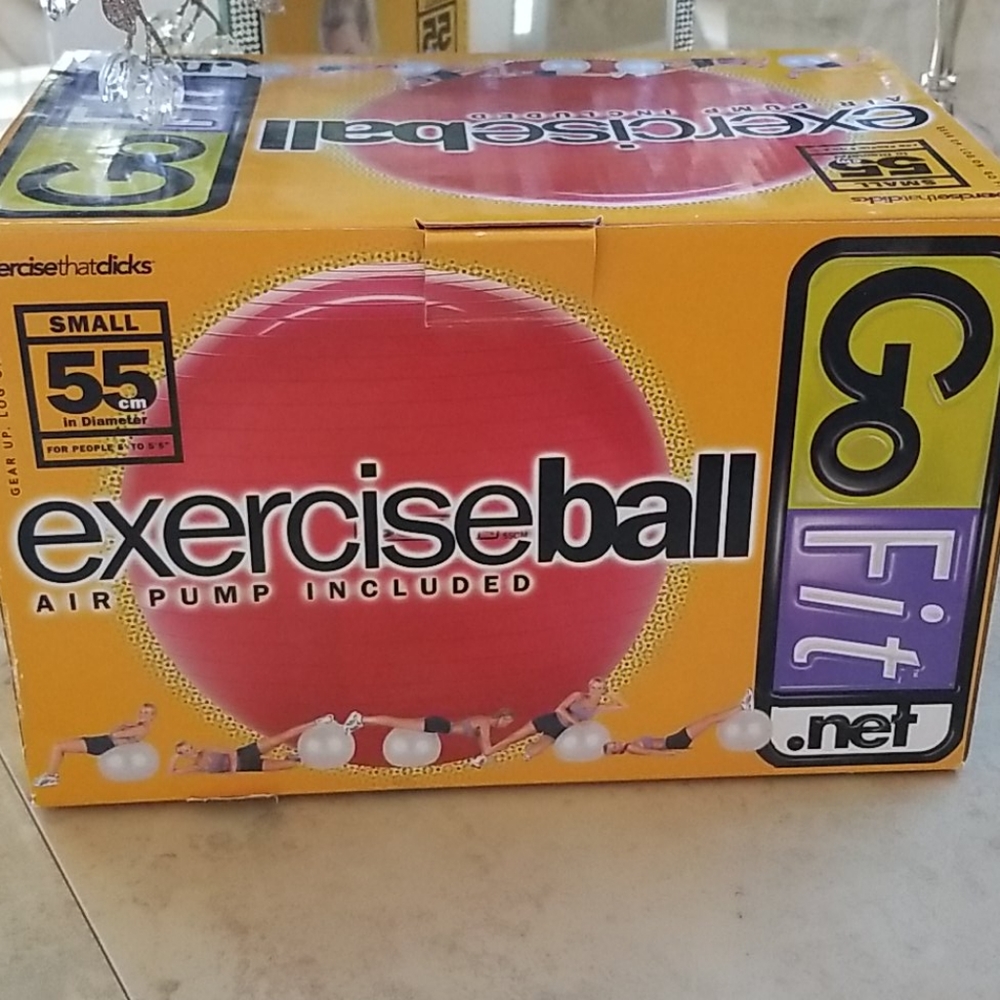 Go Fit Exercise Ball & Pump